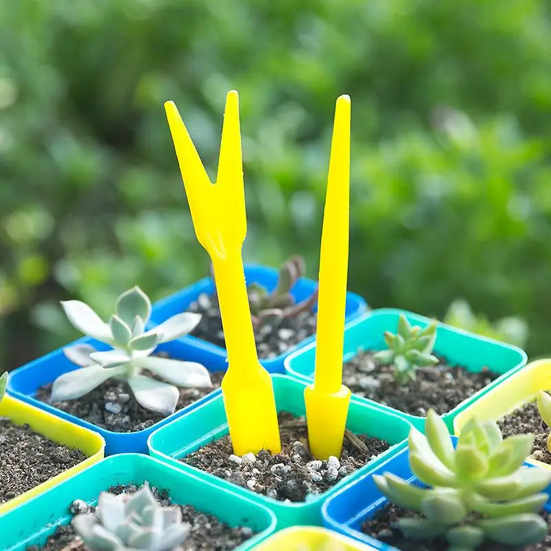 Succulent Set - 1/10Pcs Aussaat Sukkulenten Transplantation Sämlinge Gepflanzt