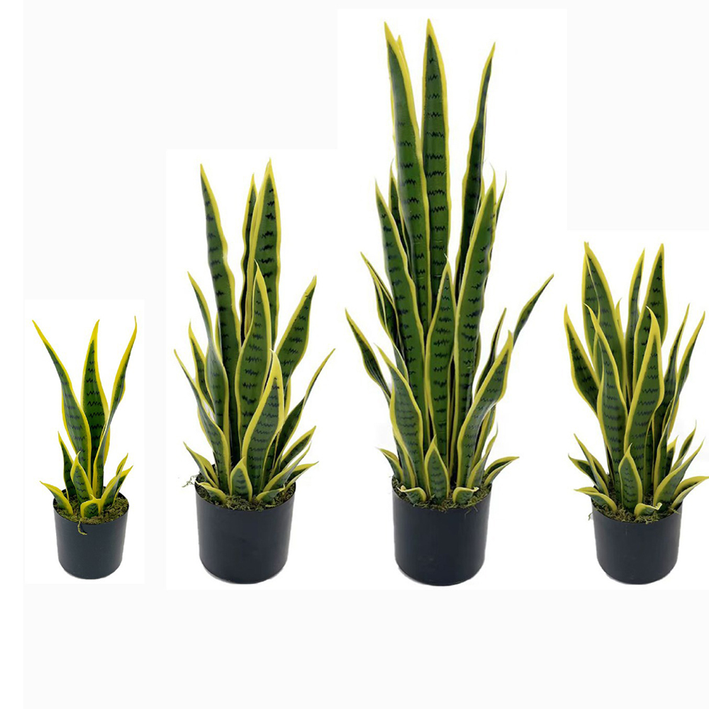 Fiddle Leaf Fig - 40-100cm Künstliche Sansevieria Schlangenpflanze mit Schwarzem