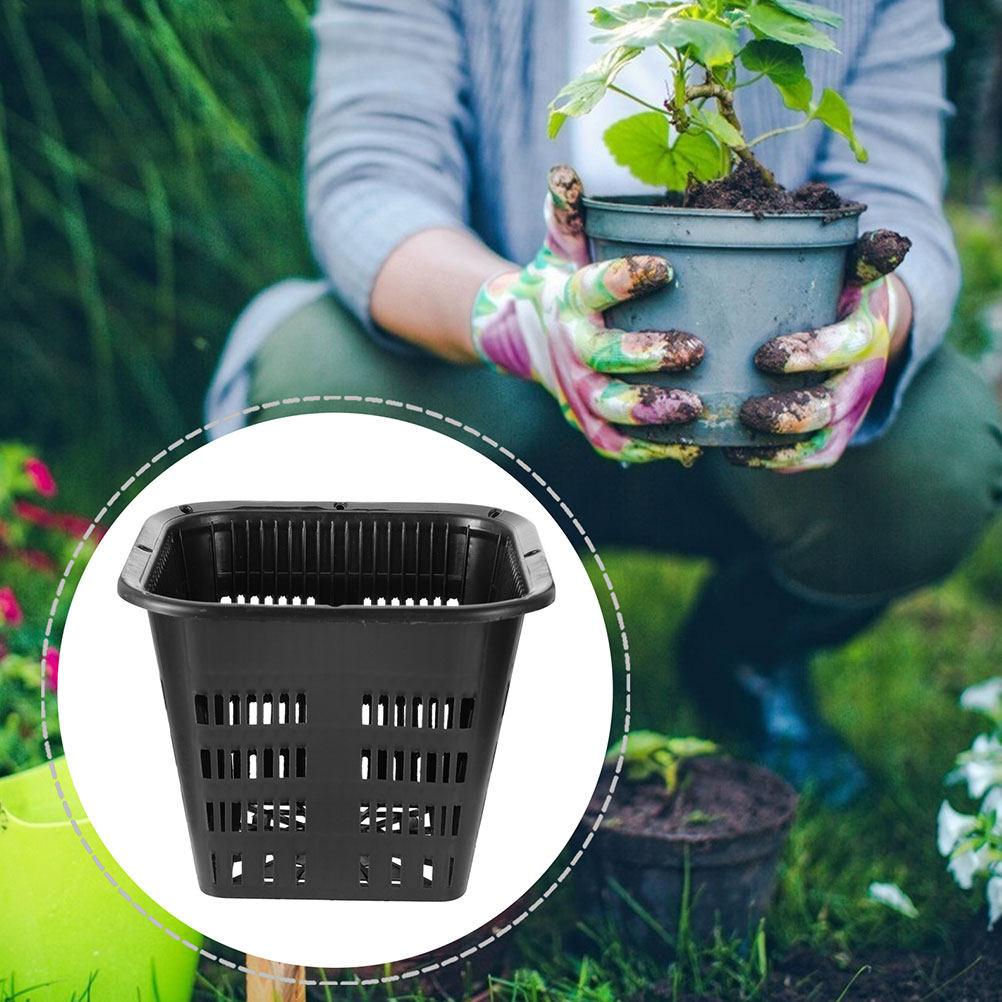 15 Stück Wurzelkontroll-Blumen – Indoor Plants Bewertung und Preis