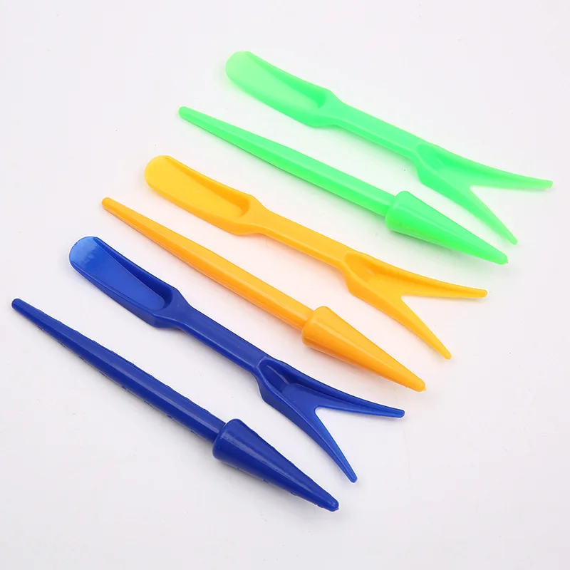 1/10Pcs Aussaat Sukkulenten Tr – Succulent Set Bewertung und Preis