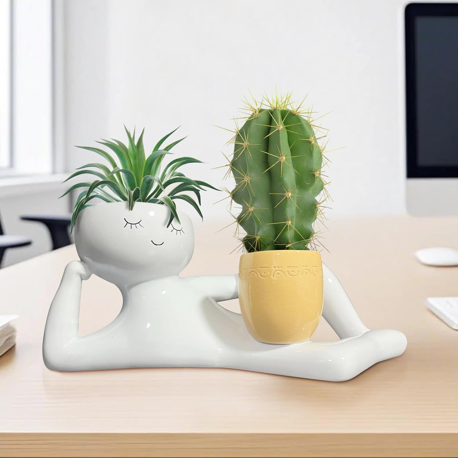 Lustiger Pflanzentopf „Lazy Li – Plant Pot Bewertung und Preis