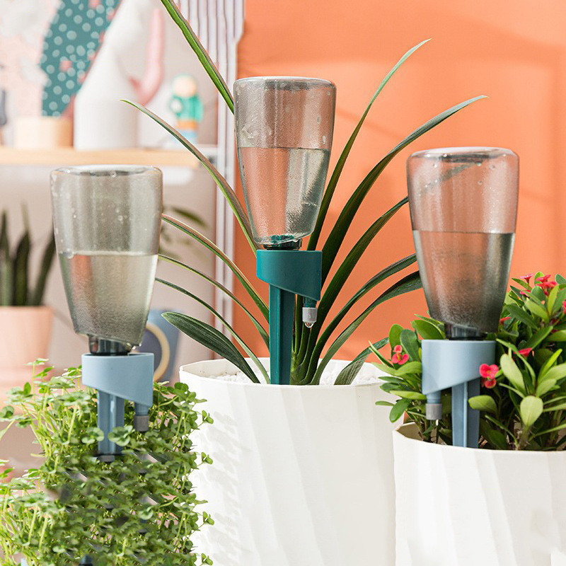 Neues automatisches Blumenbewä – Succulent Set Bewertung und Preis