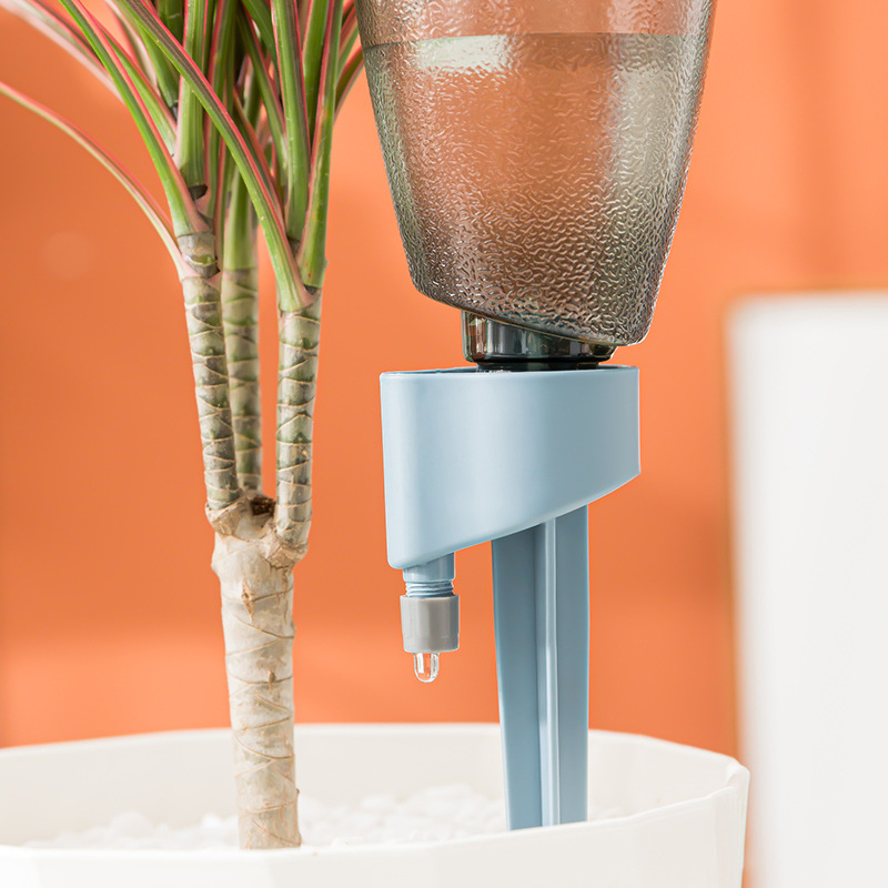 Neues automatisches Blumenbewä – Succulent Set Bewertung und Preis