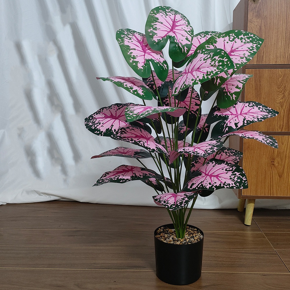 Rosa Blatt Topfpflanzen Gefäls – Snake Plant Bewertung und Preis