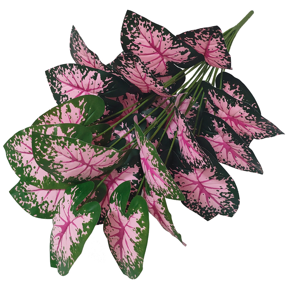 Rosa Blatt Topfpflanzen Gefäls – Snake Plant Bewertung und Preis