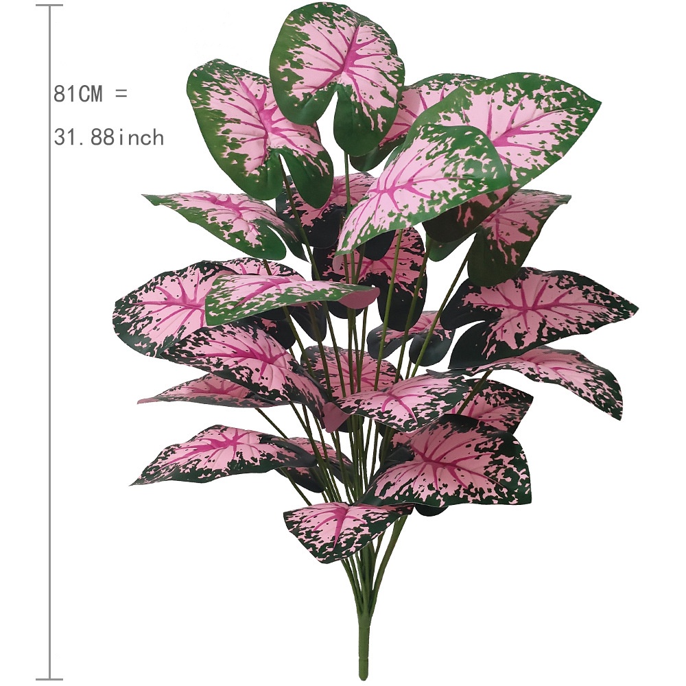 Rosa Blatt Topfpflanzen Gefäls – Snake Plant Bewertung und Preis