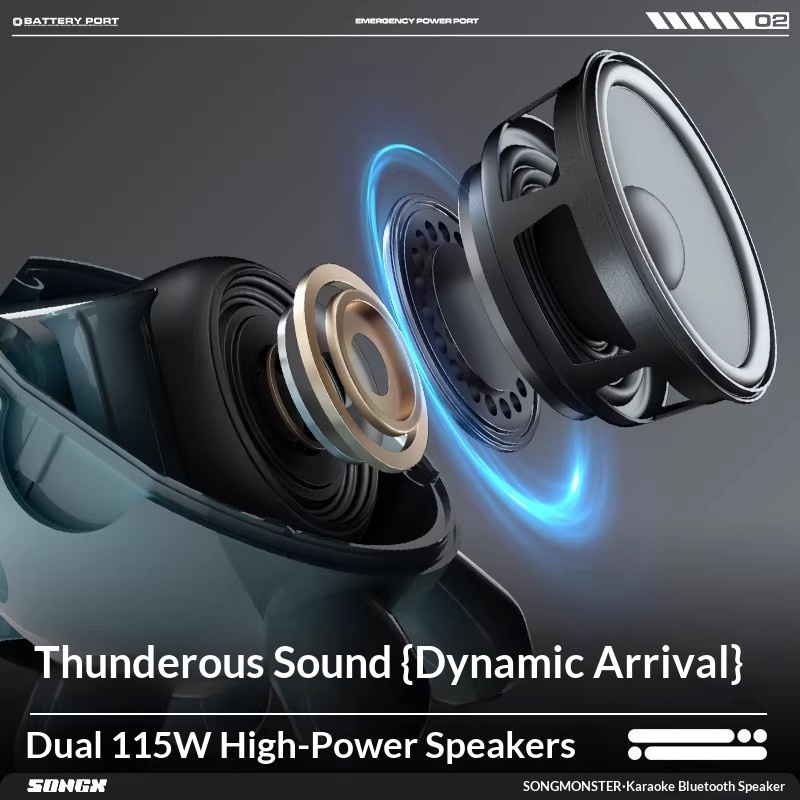 SONGX Audio Dual Mikrofon Duet – Monstera Bewertung und Preis
