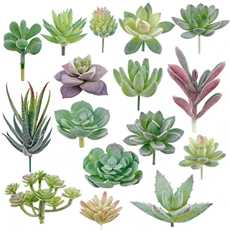 10/20 Stück PVC-Sukkulenten, g – Snake Plant Bewertung und Preis