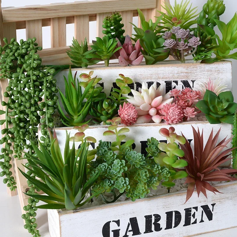 10/20 Stück PVC-Sukkulenten, g – Snake Plant Bewertung und Preis