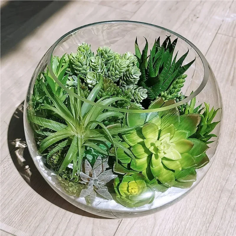 10/20 Stück PVC-Sukkulenten, g – Snake Plant Bewertung und Preis